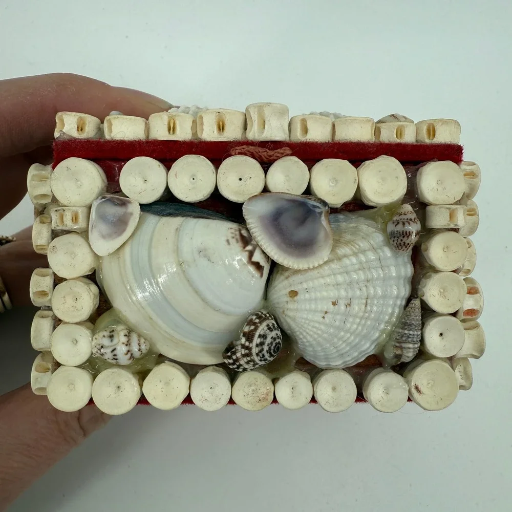 Vintage Seashell Trinket Box Shark Vertebrae Bone Rings Red Velvet Lined 3.5